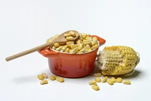 Sweet Corn Nutrition Prints: Fresh maize kernels in pots and cobs
