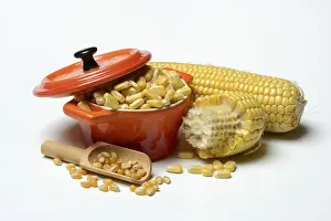 Sweet Corn Nutrition Facts Prints: Fresh maize kernels in pots and dried maize kernels in scoops