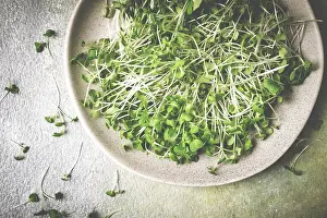 Fresh Microgreens Prints: Fresh micro-greenery, on a plate