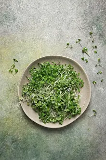 Vegetable Cultivation Prints: Fresh micro-greenery, on a plate