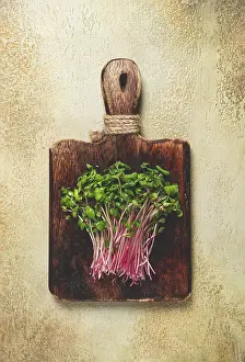Beetroot Sprouts Prints: Fresh micro-greens, beetroot sprouts