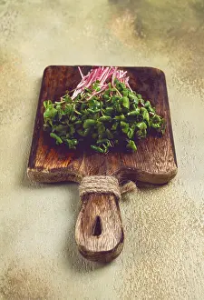Beetroot Sprouts Prints: Fresh micro-greens, beetroot sprouts