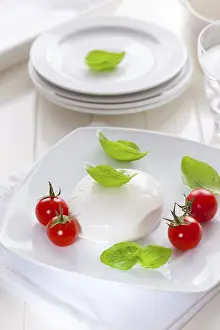 Gourmet Meal Ideas Prints: Fresh mozzarella with cherry tomatoes and basil