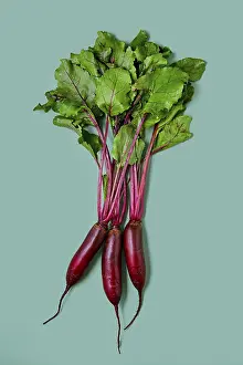 Healthy Eating Vegetables Prints: Fresh spring beetroot with tops