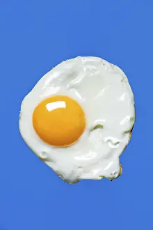 Isolated Food Still Life Prints: Fried egg