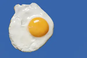 Studio Shot Of Eggs Prints: Fried egg