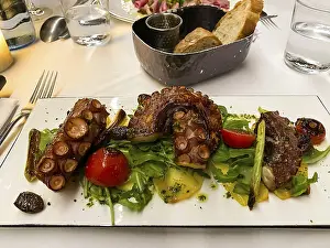 Octopi Prints: Fried Octopus Print with Rocket Salad