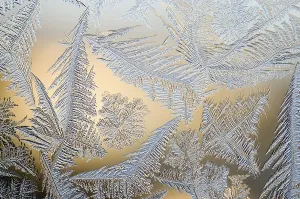 Winter Nature Scene Prints: Frost flowers on window