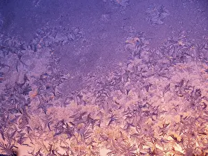 European Wintry Landscapes Prints: Frost patterns