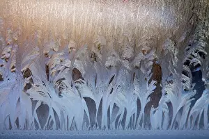 Frosty Window Pattern Prints: Frosty natural pattern on winter window