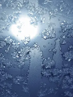 Deserted Winter Scene Prints: Frosty natural pattern on winter window