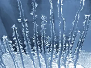 Deserted Structure Images Prints: Frosty natural pattern on winter window