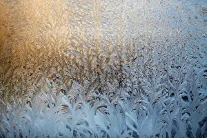 Deserted Winter Landscape Photo Prints: Frosty natural pattern on winter window