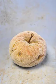 Close Up Fruit Photography Prints: Frozen apple