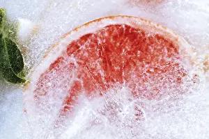 Colorful Citrus Fruits Prints: Frozen Ruby Grapefruit