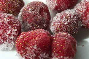 Hoarfrost On Fruit Prints: Frozen strawberry