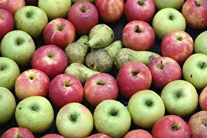 Empty Grocery Store Image Prints: Fruit Apples Pears