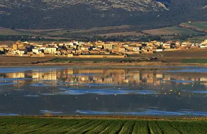Prints of Gallocanta, Laguna de Gallocanta, Aragon (Zaragoza), Spain Zaragoza Prints: Gallocanta Laguna de Gallocanta Print, Aragon, Spain