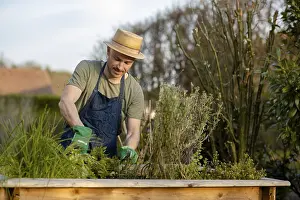 Caucasian Gardener Prints: Gardener