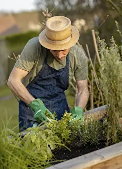 Caucasian Gardener Prints: Gardener