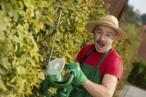 Caucasian Man Gardening Prints: Gardener using a hedge trimmer