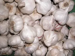 Market Stall Food Prints: Garlic