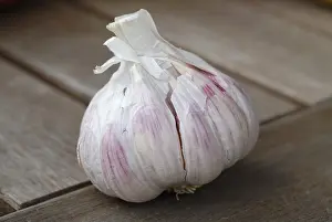 Vegetable Nutrition Prints: Garlic