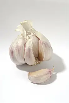 Vegetable Nutrition Prints: Garlic