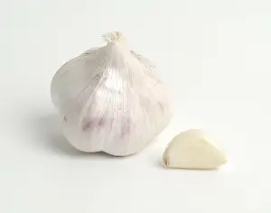 Grocery Shopping Essentials Prints: Garlic
