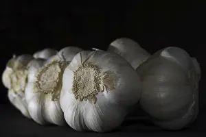 Garlic Bulb Images Prints: Garlic Bulb