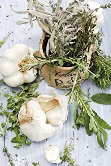 Houseplant Photography Prints: Garlic with herbs