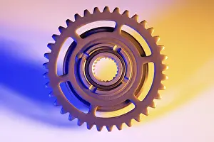 Studio Gear Shots Prints: Gear