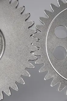Studio Gear Shot Prints: Gears