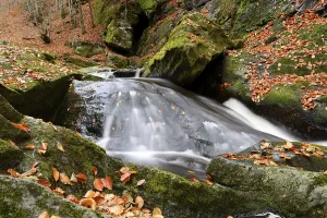 Moss Covered Rocks Prints: A gentle waterfall in a stream