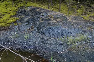 Hohenleuben Landscape Photo Prints: Germany, graptolites, Thuringia