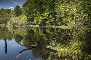 Germany Landscape Photography Prints: Germany, Greiz, Struth, Thuringia