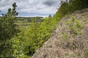 Germany Landscape Photography Prints: Germany, Greiz, Teufelsberg, Thuringia