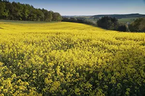 European Countryside Images Prints: Germany, Greiz, Thuringia, Thuringia