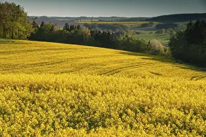 European Cultural Landscape Prints: Germany, Greiz, Thuringia, Thuringia