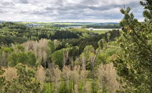 Thuringia Landscape Photography Prints: Germany, Greiz, Thuringia, Weidatal