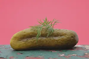 Single Object Food Still Life Prints: A gherkin with dill