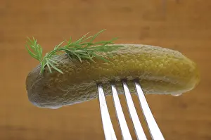 Vegetable Photography Studio Prints: Gherkin on a fork