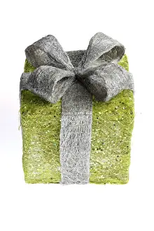 Gift Box Close Up Prints: Gift box, present