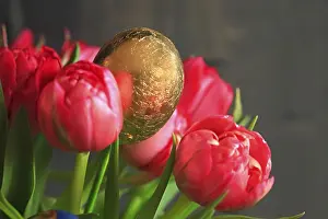 Colorful Easter Egg Prints: Gilded Easter Egg, Dresden, Saxony