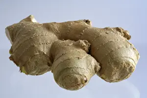 Fresh Ginger Root Prints: Ginger