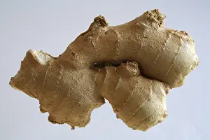 Medicinal Spice Plant Prints: Ginger