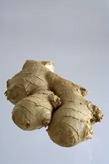 Studio Background For Food Photography Prints: Ginger