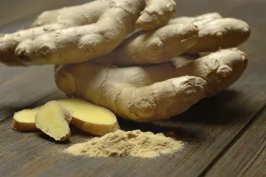 Medicinal Plant Nutrition Prints: Ginger, ginger root and ginger powder