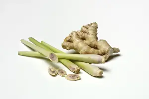 Ginger Root Nutrition Prints: Ginger, ginger root and lemongrass