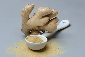 Medicinal Plant Nutrition Prints: Ginger root and ginger powder in spoon